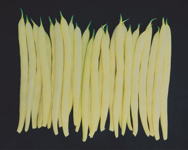 Gold Mine Wax Bean Seeds